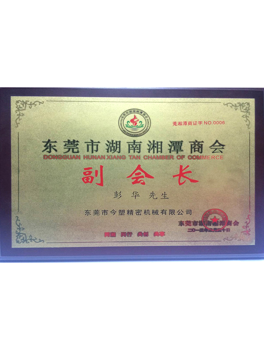 东莞湖南湘潭商会副会长